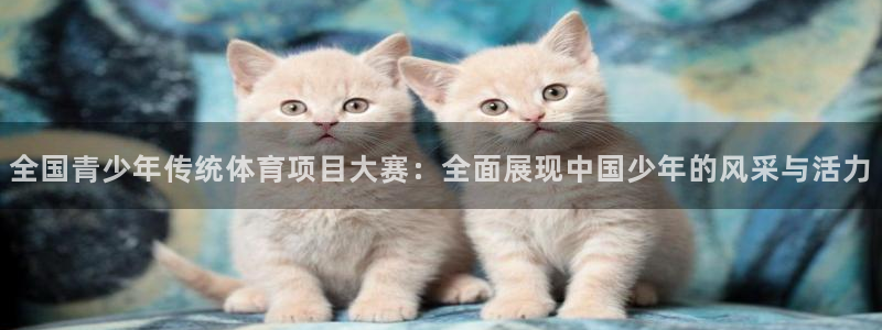 超凡国际pg电子：全国青少年传统体育项目大赛：全面展现中国少年的风采与活力