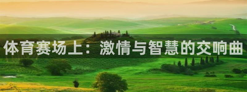 超凡国际最新链接：体育赛场上：激情与智慧的交响曲