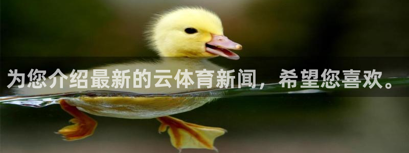 超凡国际电子pg官网网址是什么：为您介绍最新的云体育新闻，希望您喜欢。
