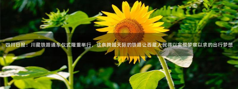 超凡国际h5入口：四川日报：川藏铁路通车仪式隆重举行，这条跨越天际的铁路让西藏人民得以实现梦寐以求的出行梦想