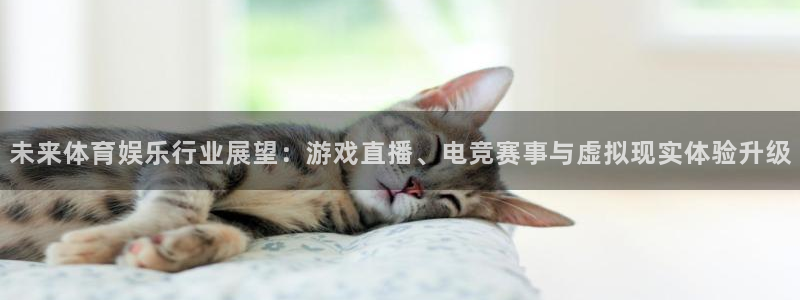 超凡国际app下载入口官网：未来体育娱乐行业展望：游戏直播、电竞赛事与虚拟现实体验升级