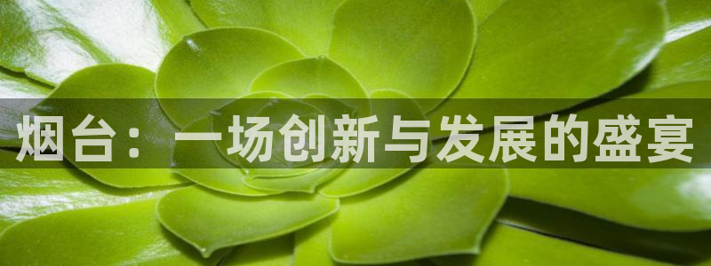 超凡国际app下载链接2027：烟台：一场创新与发展的盛宴