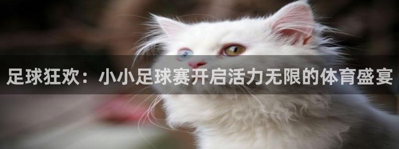 超凡国际服下载：足球狂欢：小小足球赛开启活力无限的体育盛宴