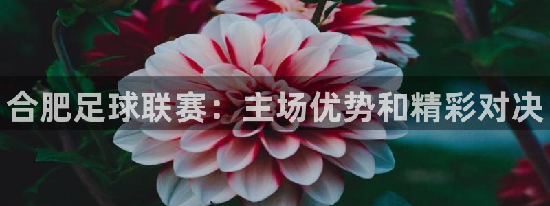 超凡之路app下载：合肥足球联赛：主场优势和精彩对决