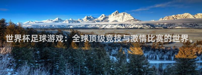 超凡国际服下载：世界杯足球游戏：全球顶级竞技与激情比赛的世界。
