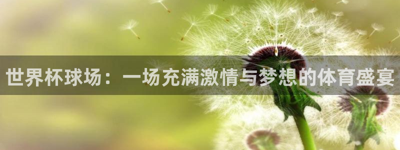超凡国际app登录入口：世界杯球场：一场充满激情与梦想的体育盛宴