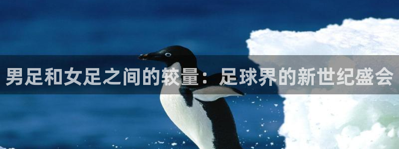 超凡国际网页版登录入口最新版本更：男足和女足之间的较量：足球界的新世纪盛会