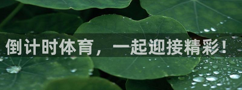 超凡国际苹果下载安装：倒计时体育，一起迎接精彩！