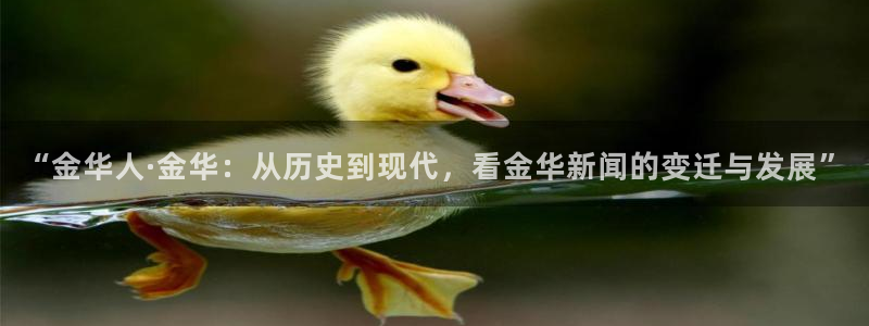超凡国际下载链接：“金华人·金华：从历史到现代，看金华新闻的变迁与发展”