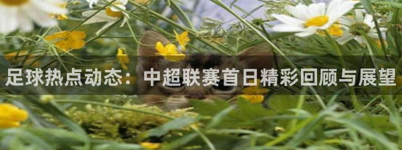 超凡蜘蛛侠2在哪个app可以看：足球热点动态：中超联赛首日精彩回顾与展望