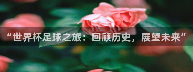 超凡国际网页版登录入口：“世界杯足球之旅：回顾历史，展望未来”