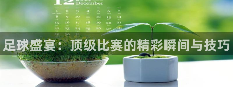 超凡安卓app下载安装：足球盛宴：顶级比赛的精彩瞬间与技巧