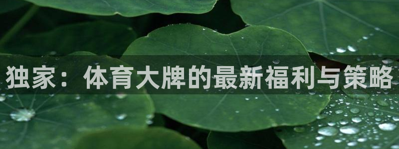 超凡国际下载链接：独家：体育大牌的最新福利与策略