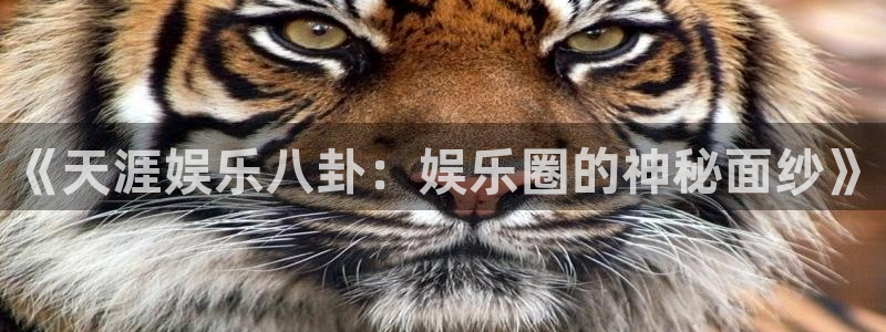 我专属的超凡世界笔趣阁：《天涯娱乐八卦：娱乐圈的神秘面纱》
