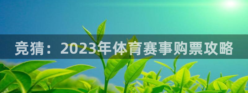 超凡国际：竞猜：2023年体育赛事购票攻略