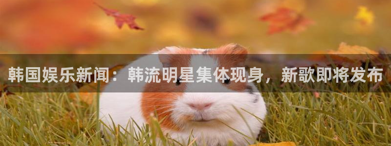 超凡国际服：韩国娱乐新闻：韩流明星集体现身，新歌即将发布