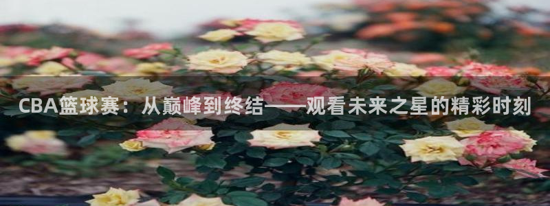 超凡国际官网入口网页版：CBA篮球赛：从巅峰到终结——观看未来之星的精彩时刻