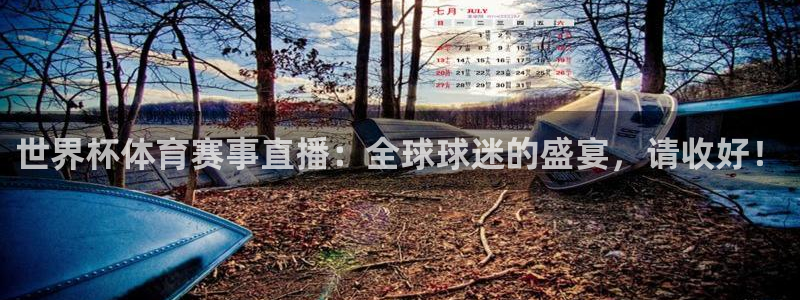 超凡国际pg官网下载：世界杯体育赛事直播：全球球迷的盛宴，请收好！