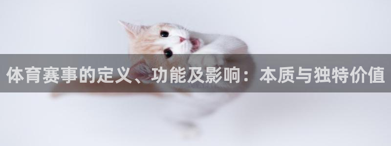 超凡蜘蛛侠二安卓版下载：体育赛事的定义、功能及影响：本质与独特价值