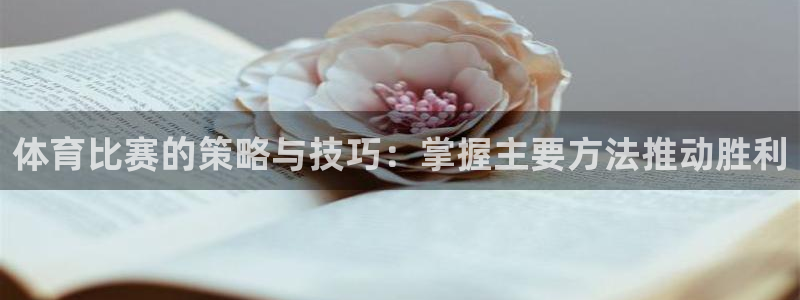 超凡国际是什么公司：体育比赛的策略与技巧：掌握主要方法推动胜利