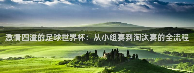 超凡国际服下载：激情四溢的足球世界杯：从小组赛到淘汰赛的全流程